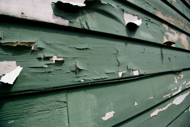 Best Moving and Downsizing Cleanouts  in East Merrimack, NH